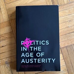 Politics in the Age of Austerity Book